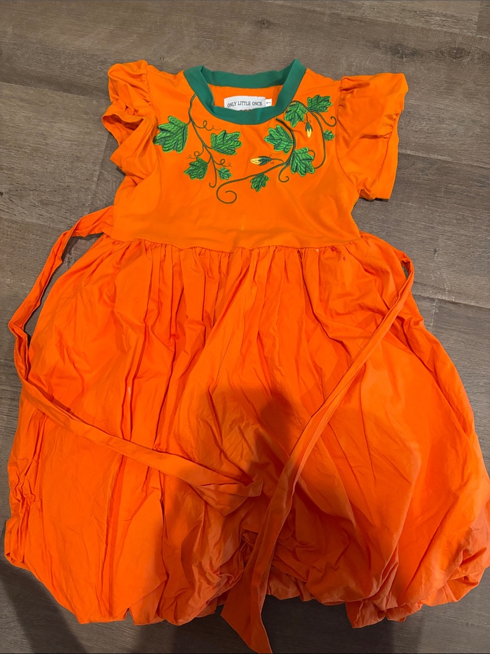 Only Little Ones Orange Pumpkin Kids Dress with Green Vine Embroidery
